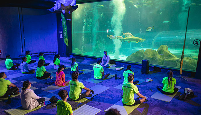 aula de yoga no aquario